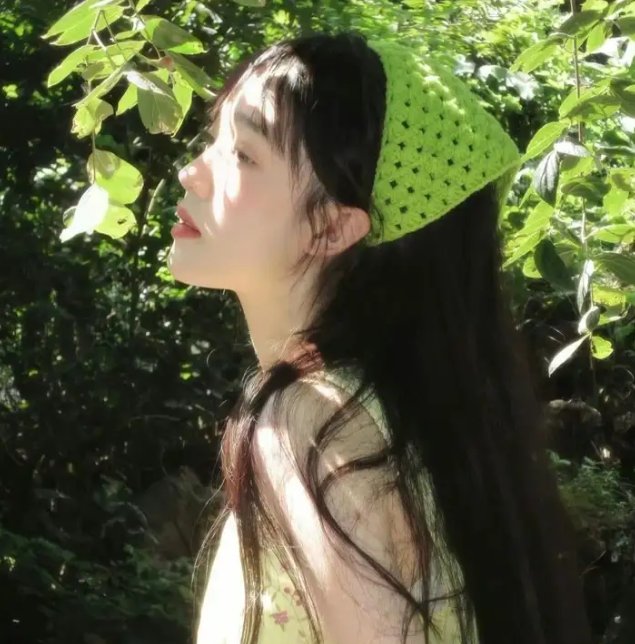 挎斗摩托车里的狗